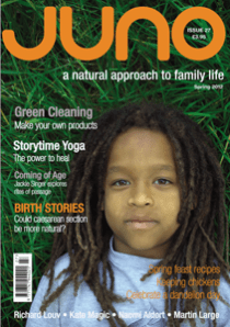 small-cover-Issue-27-210x298